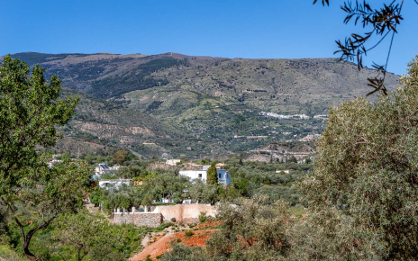 Your villa seen from the olive groves